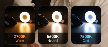 LightWare magnétique lumière ronde